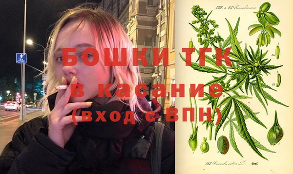 гидра Козловка