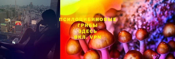 PSILOCYBIN Коряжма