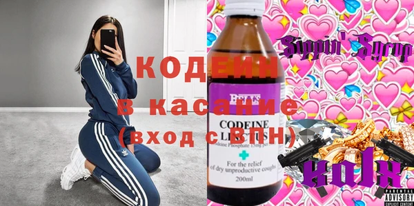 ешки Корсаков