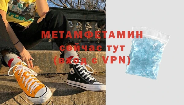 гидра Козловка