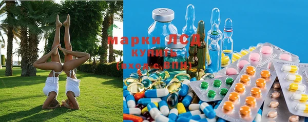 PSILOCYBIN Коряжма