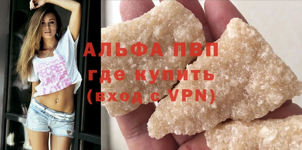 гидра Козловка