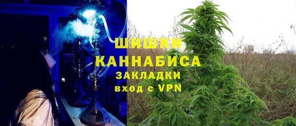 гидра Козловка