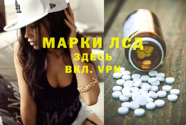 гидра Козловка